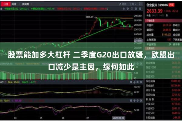 股票能加多大杠杆 二季度G20出口放缓，欧盟出口减少是主因，缘何如此