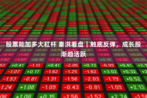 股票能加多大杠杆 秦洪看盘｜触底反弹，成长股渐趋活跃