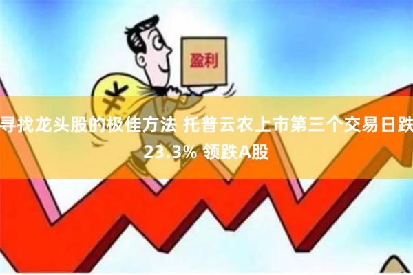 寻找龙头股的极佳方法 托普云农上市第三个交易日跌23.3% 领跌A股
