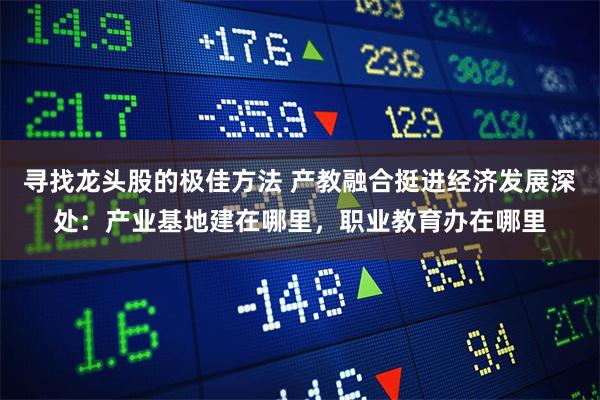 寻找龙头股的极佳方法 产教融合挺进经济发展深处：产业基地建在哪里，职业教育办在哪里